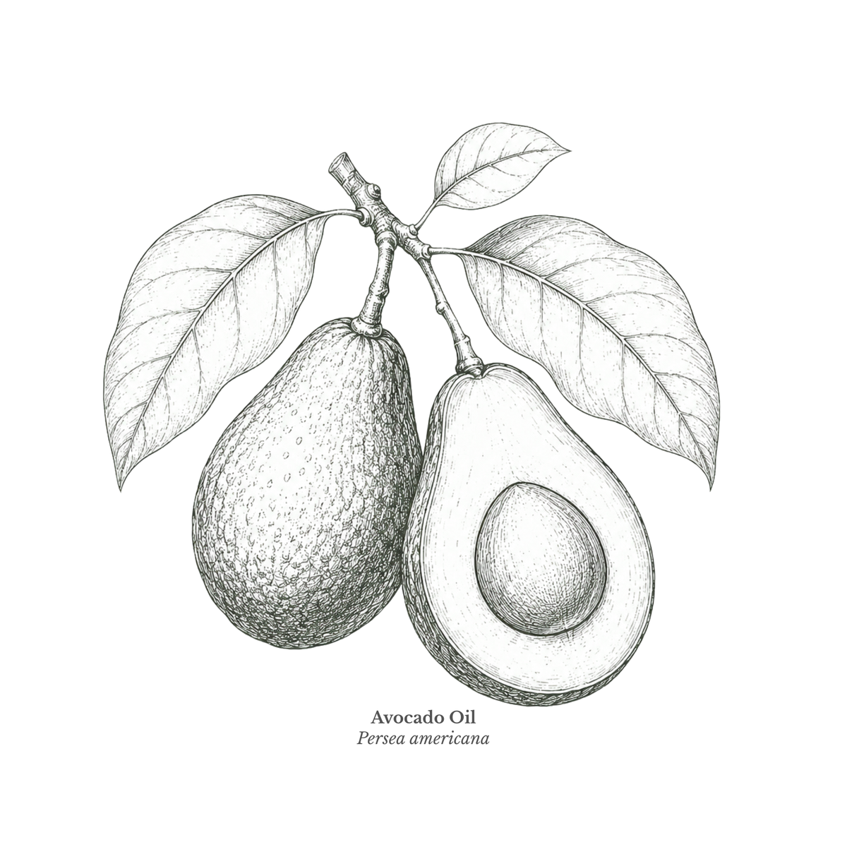 Avocado Oil Certified Organic