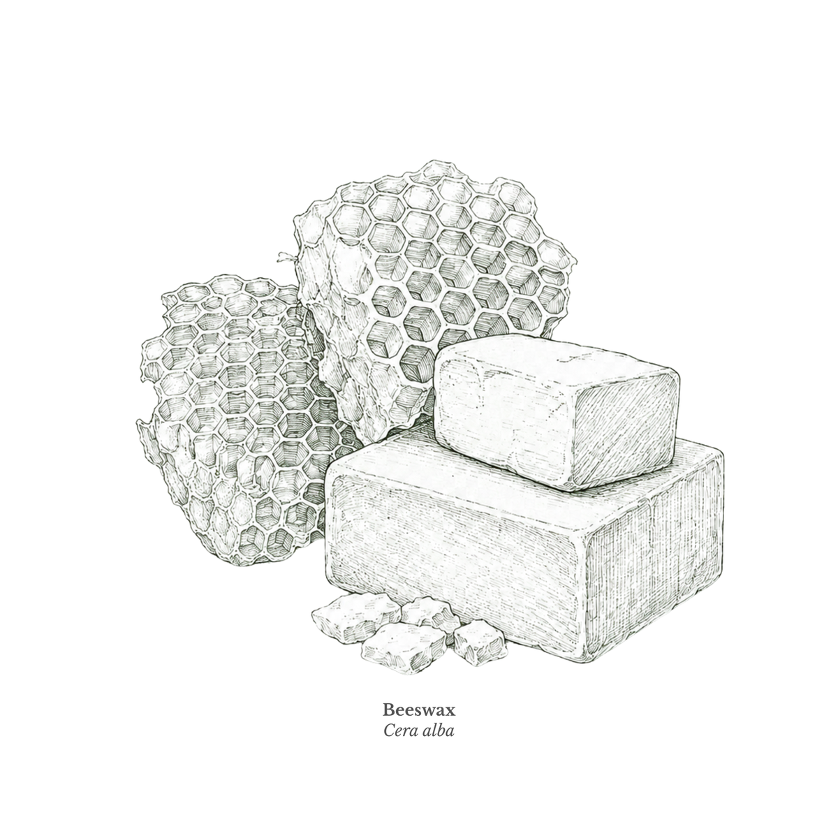 Beeswax